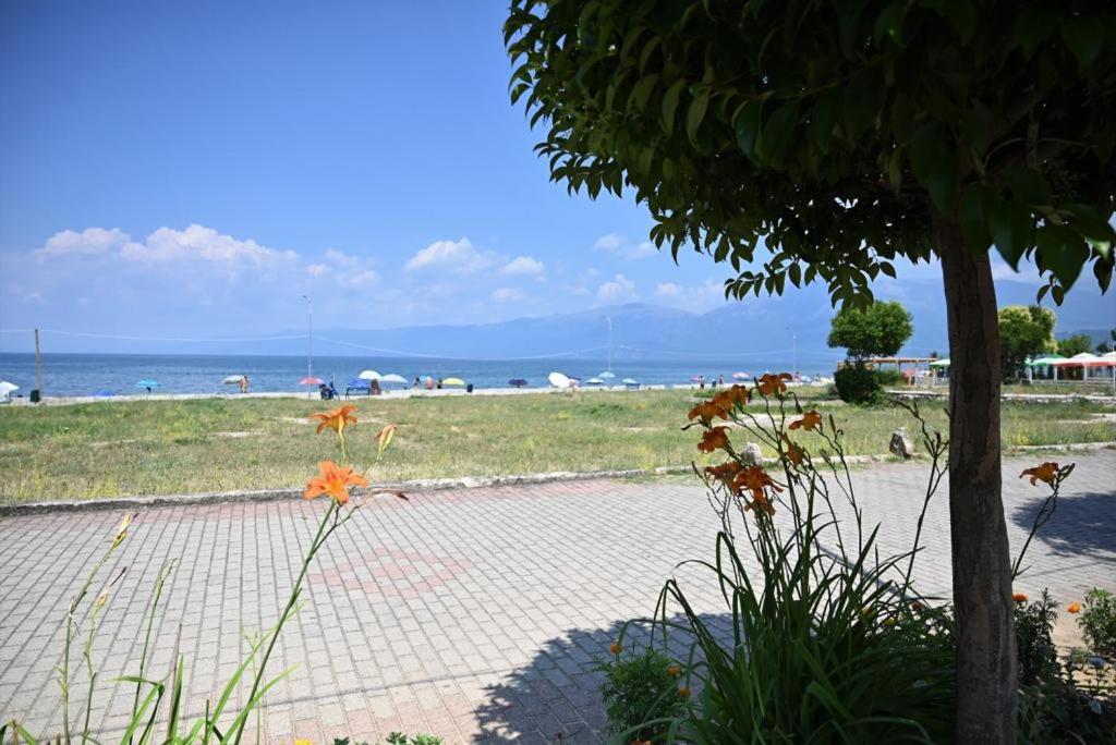 B & B Pogradec Eksteriør bilde